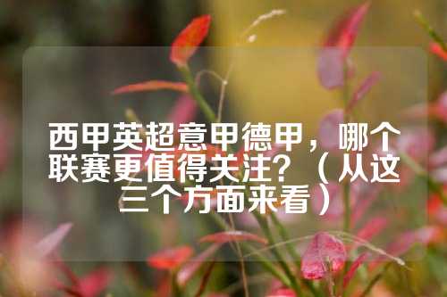 不仅能够收