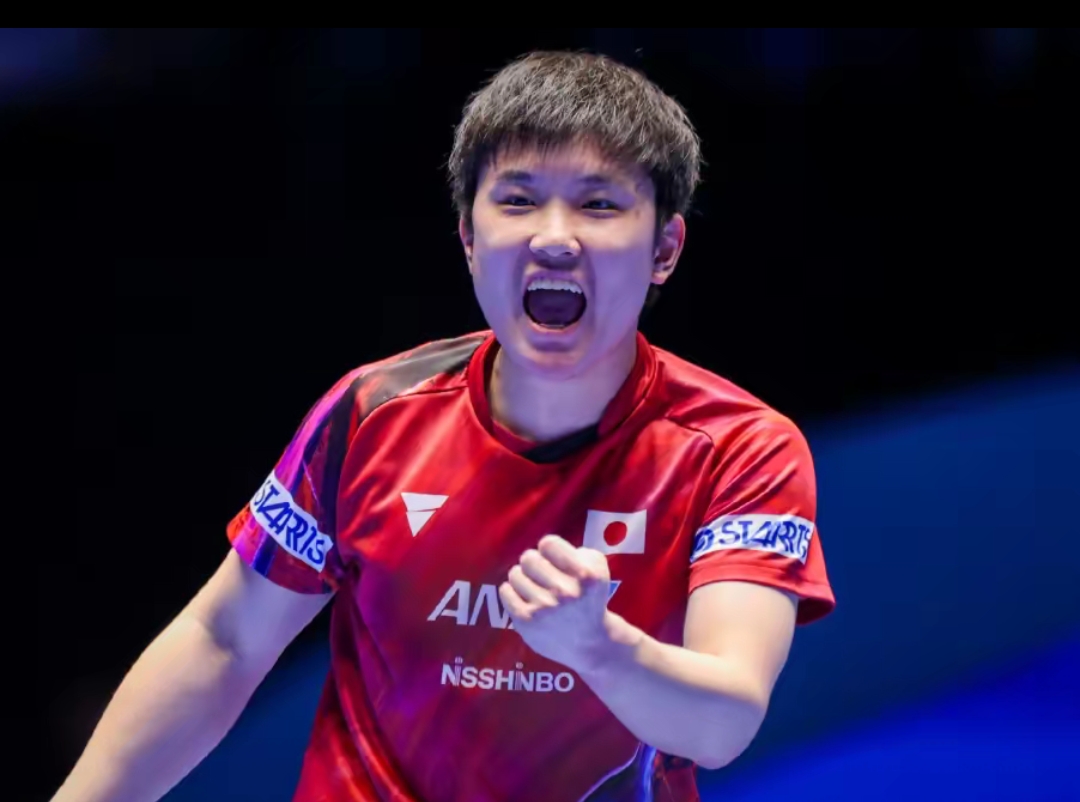 等多个项目 等多个项目