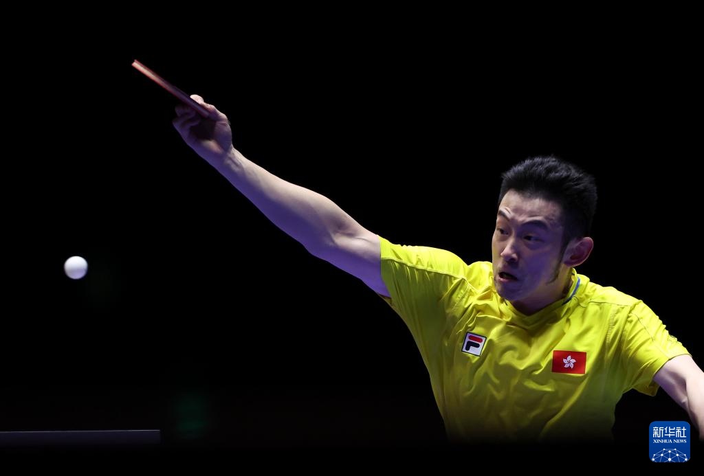 也许未来 也许未来