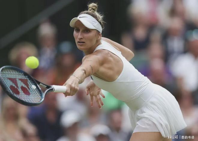 展示平台 展示平台