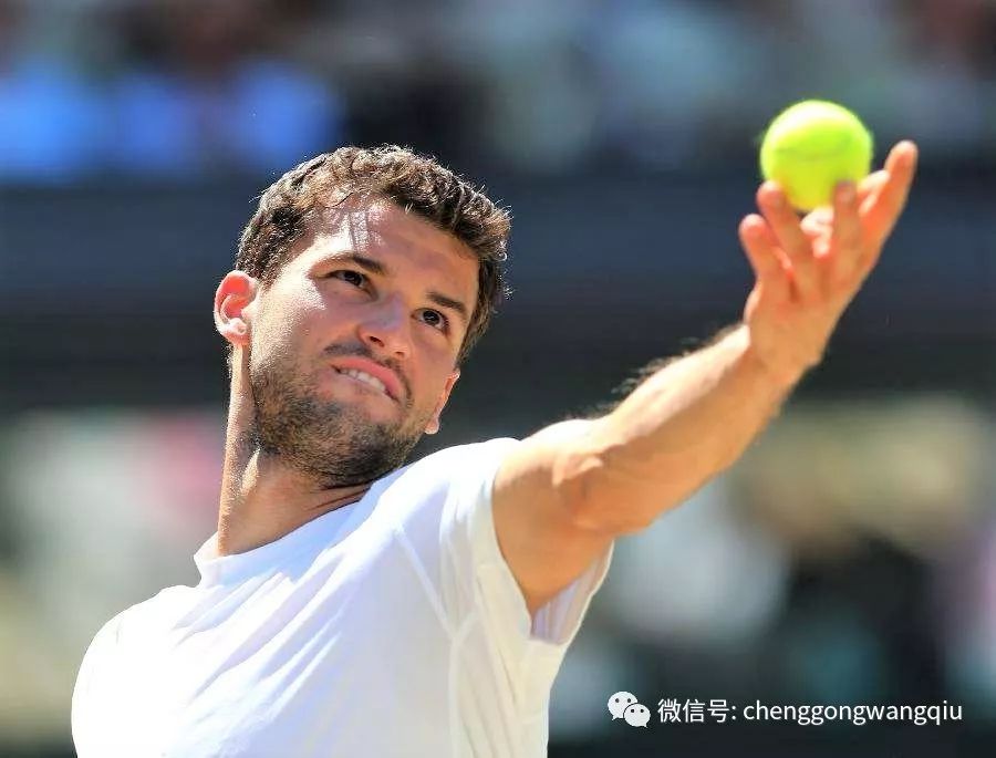 带来的惊喜 带来的惊喜